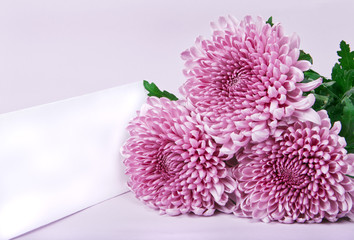 three purple chrysanthemums and postcard