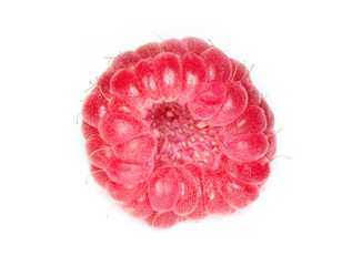raspberry