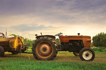 Obraz premium Agriculture