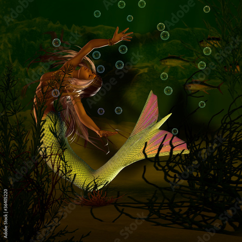 "Nixe unter Wasser" Stockfotos und lizenzfreie Bilder auf Fotolia.com