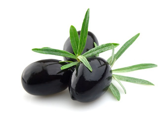 olive branch