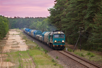 Naklejka premium Freight diesel train