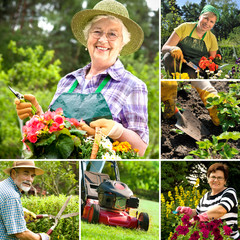 Gardening