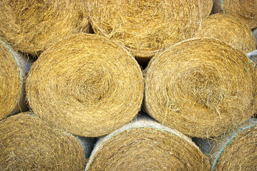 Bales of hay