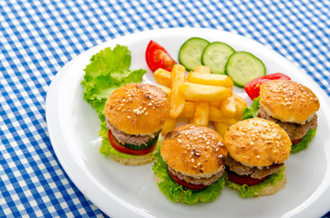 Burgers with french fries in plate