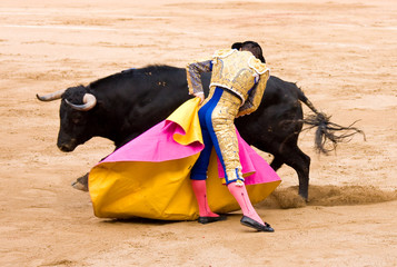 Bullfighting