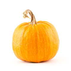 Orange round pumpkin in white background