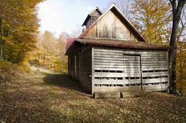 cabane en forêt