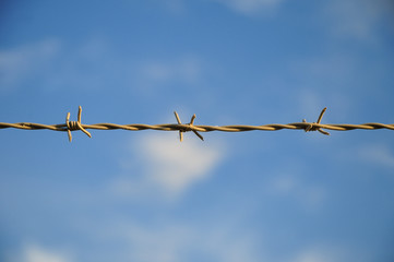 barbed wire