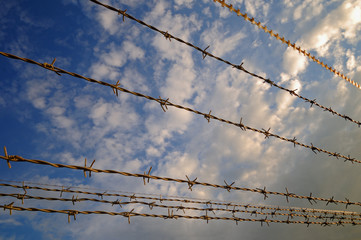 security fence barbed wire