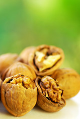 walnut isolated on green background