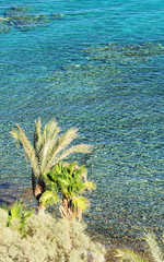 view on coral reef, Read Sea in Taba resort, Egypt