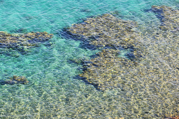 Fototapeta na wymiar view on coral reef, Read Sea in Taba resort, Egypt