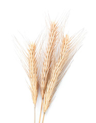 Wheat ears