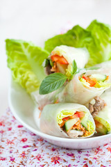 Rice paper springrolls
