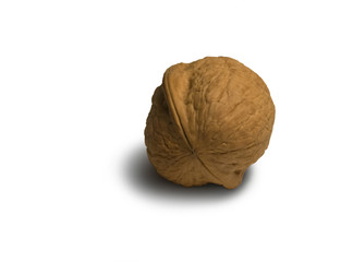 walnut