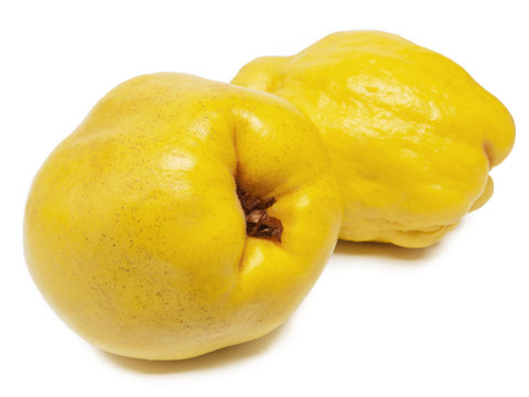Quitten