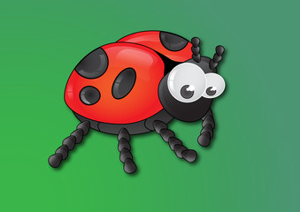 Ladybug