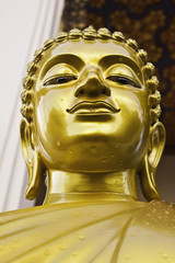The Buddha statue