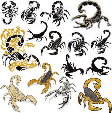 Scorpions vector collection