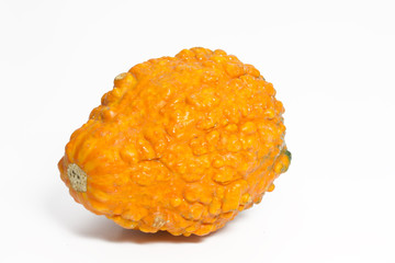 Zierkürbis, freigestellt