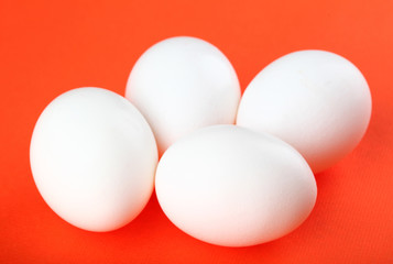 Eggs isolated on red background