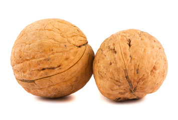 Two ripe brown walnuts