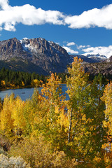 Sierra Autumn