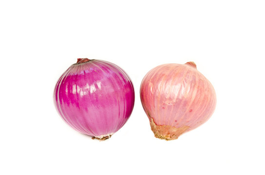 two of shallot on white background