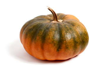 Ripe autumn pumpkin on a white background