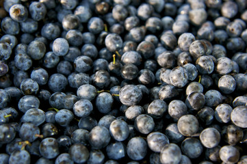 Blaubeeren