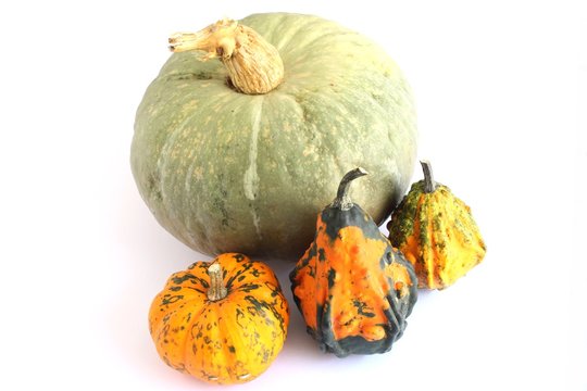 zucca verde e zucchette decorative