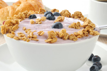 Bowl of blueberry yogurt