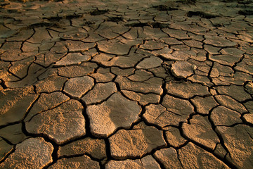 Cracked lifeless soil