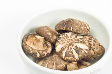 Shiitake in the white dish, Isolated