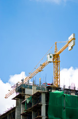 Crane on the construction site
