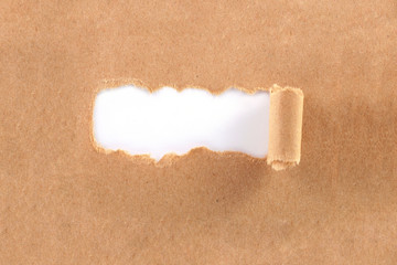 brown torn paper