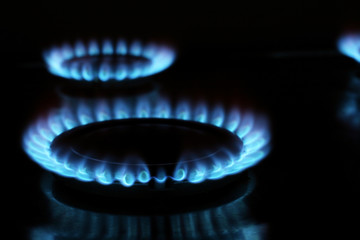 blue gas flames