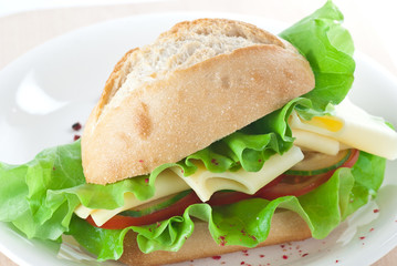 Cheese Sandwich