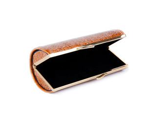 spectacle-case