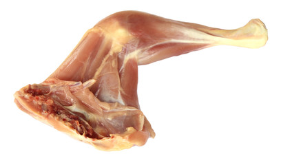 Chicken leg