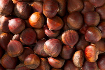 Many Chestnuts, Full Frame