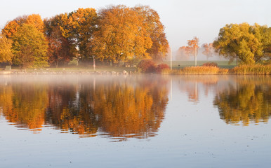 Trees reflecting in canal in autumn.