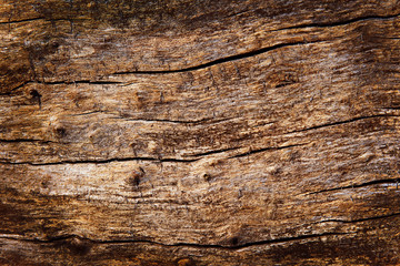 surface texture of the old dry cracked tree