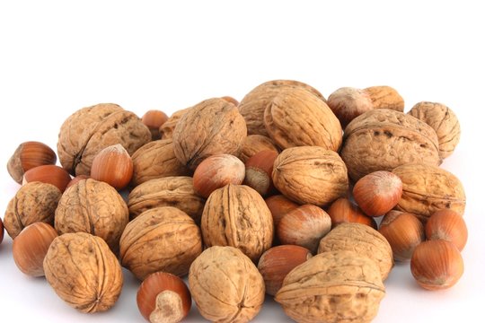 noci e nocciole