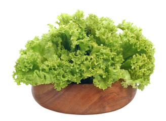 lettuce on white background