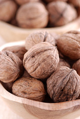 noci in scodelle - due