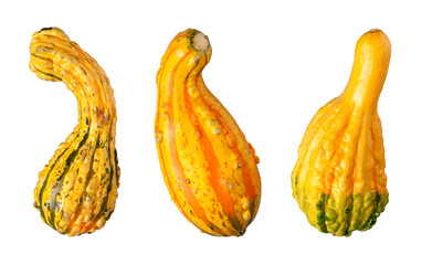 Gourds isolated on a white background