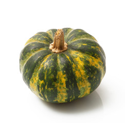 zucca