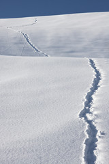 footprints in a snowy landscape